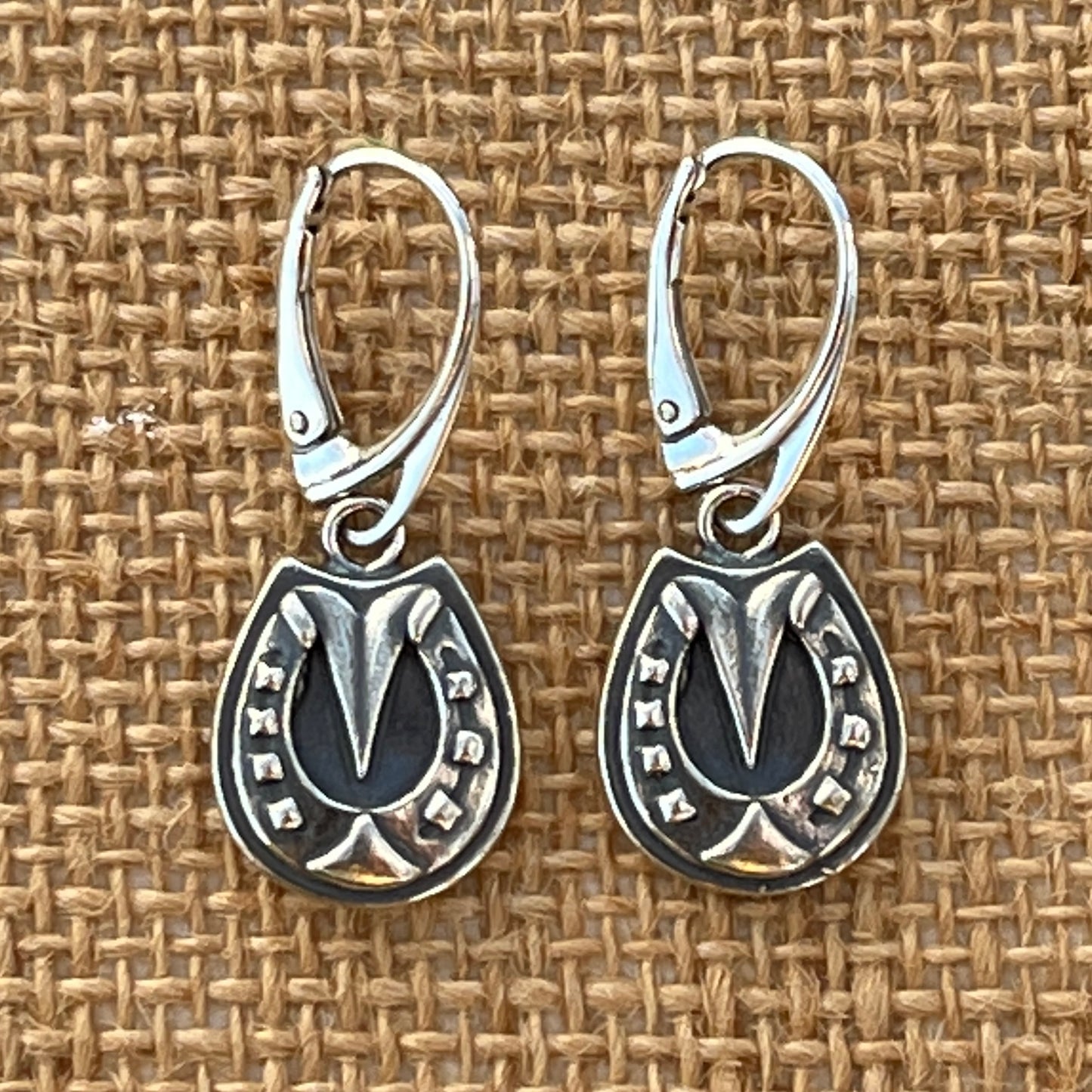 Little Lucky Horseshoe Earrings