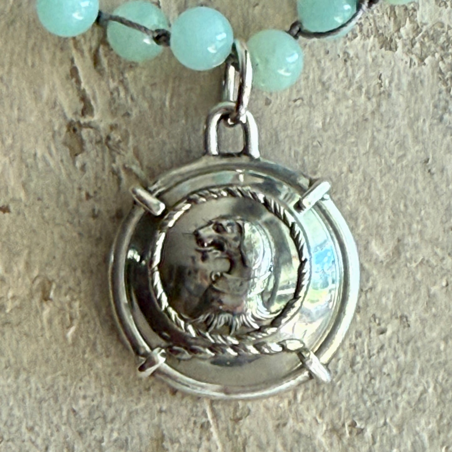 Silver Lion Livery Button Necklace