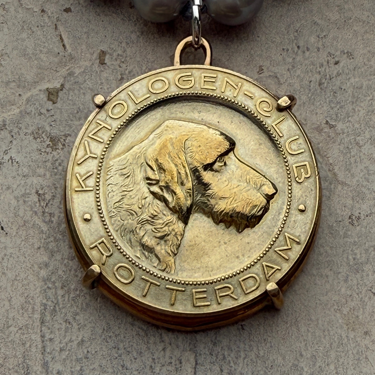 1924 Rotterdam Kennel Club Bronze Jubilee Dog Show Medal