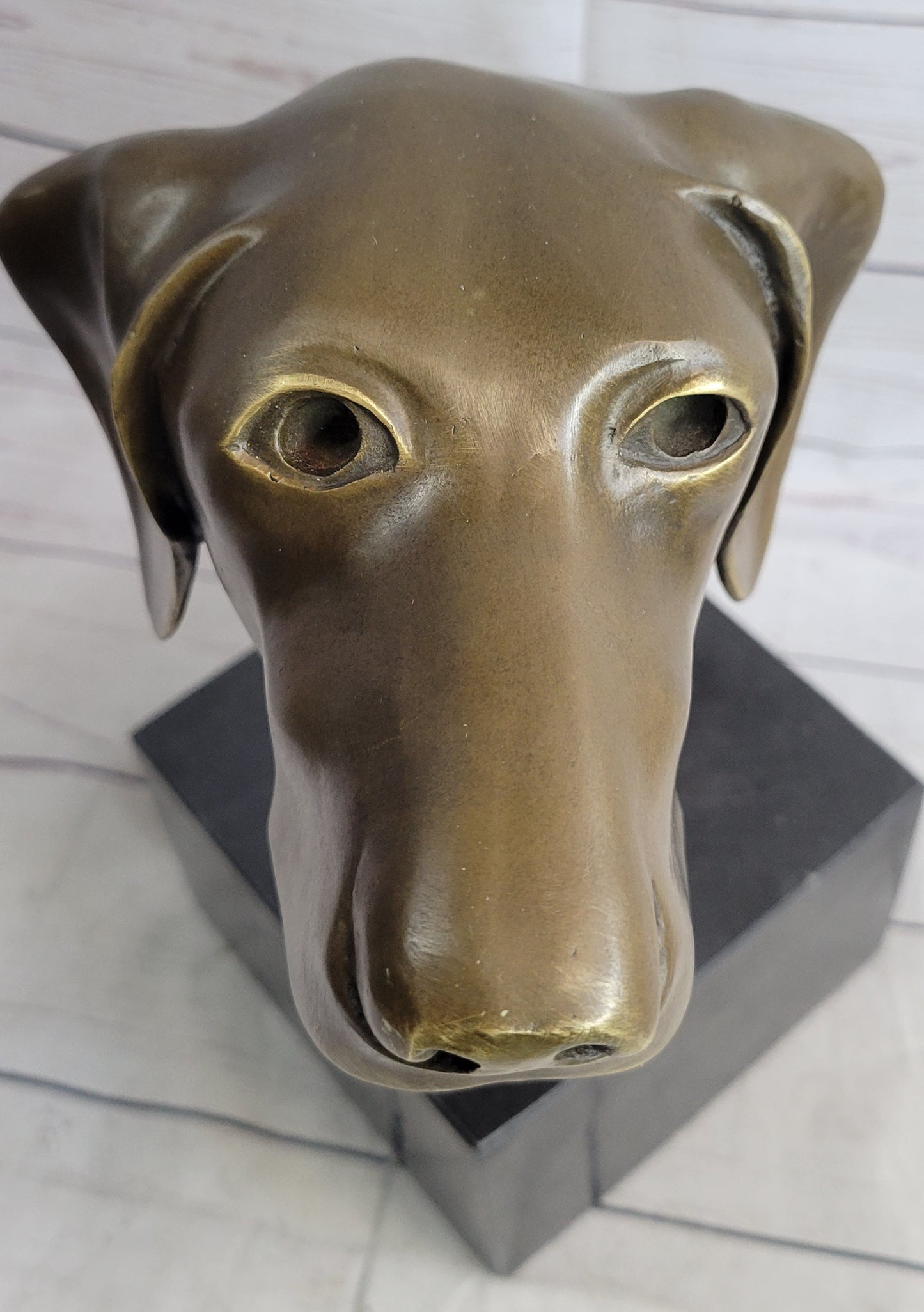 Weimaraner Vizsla Dog Bronze Bust Sculpture