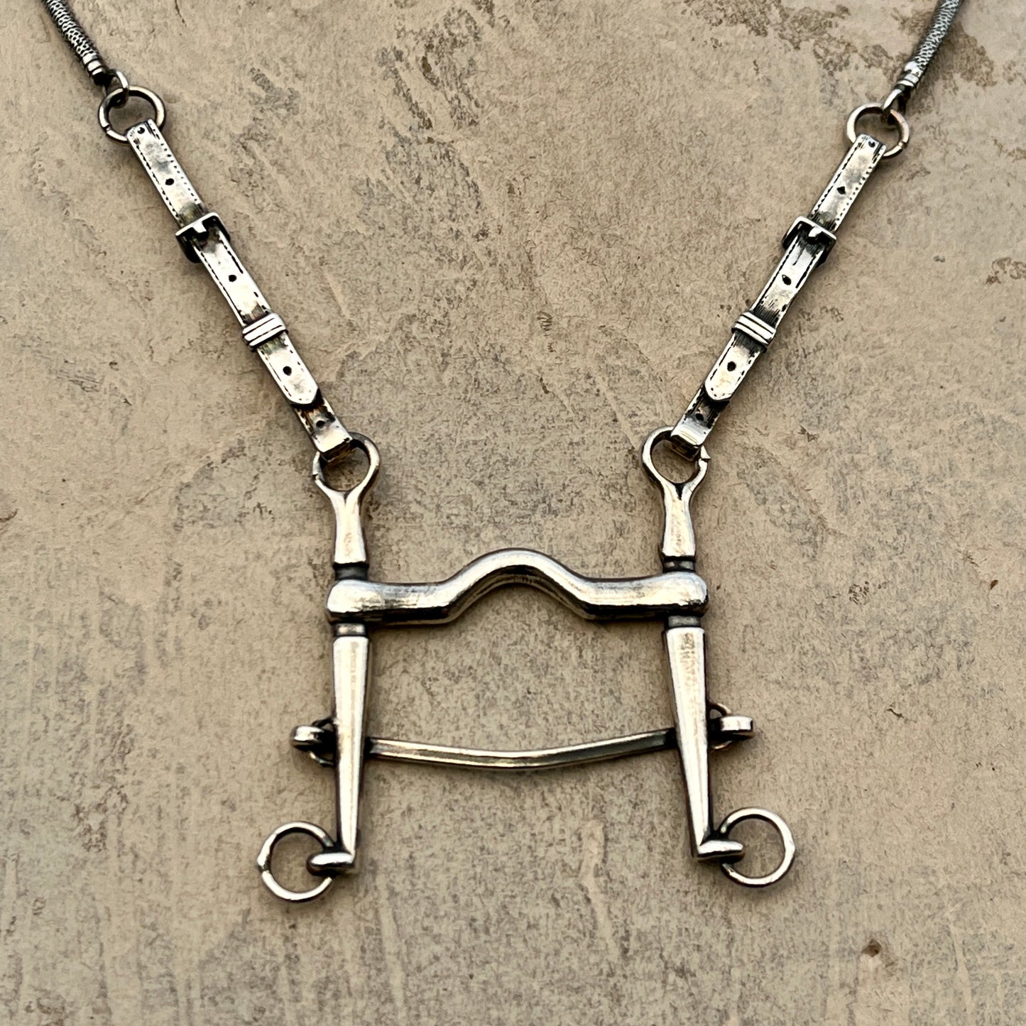 Curb Bit and Whip Necklace
